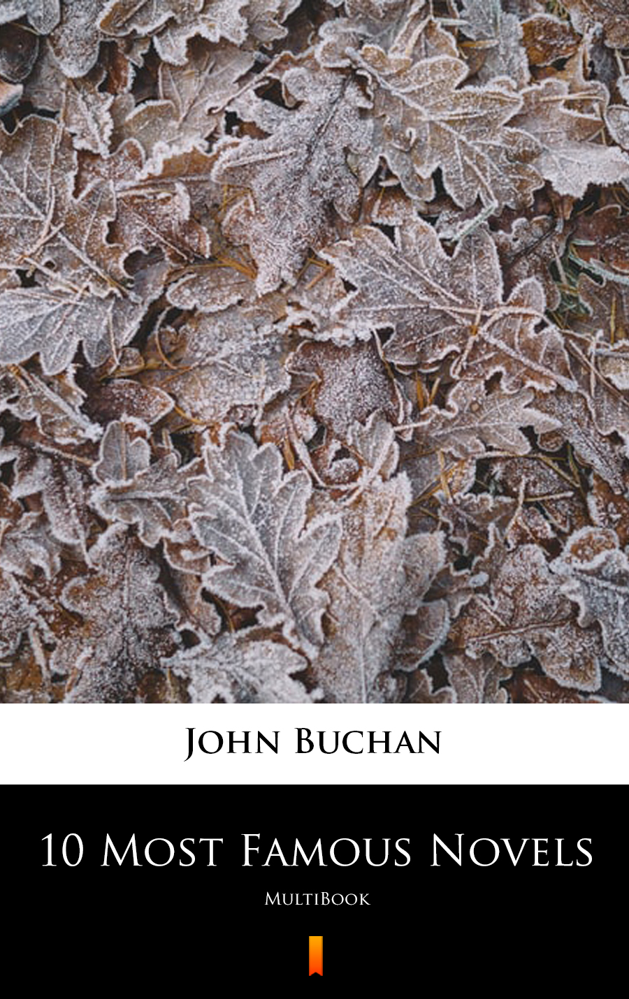 10 Most Famous Novels - John Buchan - E-Book