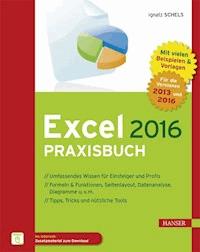 Excel 2016 Praxisbuch - Ignatz Schels - E-Book