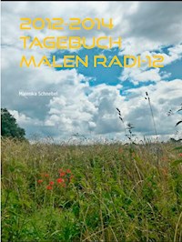 2012-2014 Tagebuch Malen Radi-12 - Malenka Schnebel - E-Book