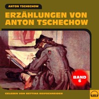 Erzählungen von Anton Tschechow - Band 6 - Anton Tschechow - Hörbuch