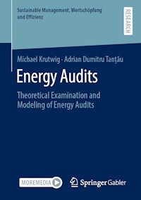 Energy Audits - Michael Krutwig - E-Book