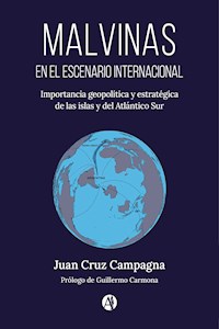 Malvinas en el escenario internacional. Importancia geopolítica y estratégica de las islas y del Atlántico Sur - Juan Cruz Campagna - E-Book