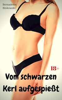 Vom schwarzen Kerl aufgespießt - Bernadette Binkowski - E-Book