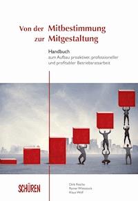 Von der Mitbestimmung zur Mitgestaltung - Dirk Reiche - E-Book