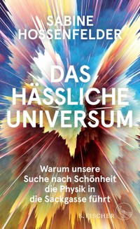 Das hässliche Universum - Sabine Hossenfelder - E-Book