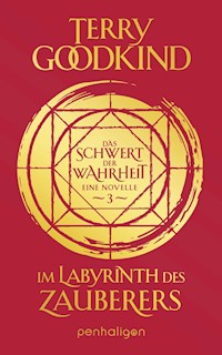 Im Labyrinth des Zauberers - Das Schwert der Wahrheit - Terry Goodkind - E-Book