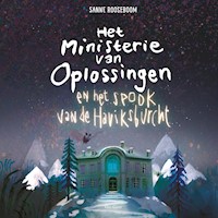 Het Ministerie van Oplossingen en het spook van de Haviksburcht - Sanne Rooseboom - Hörbuch