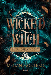 Wicked Witch - Der Jugendbuch Fantasy Bestseller GRATIS - Megan Montero - kostenlos E-Book
