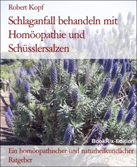 Schlaganfall behandeln mit Homöopathie und Schüsslersalzen - Robert Kopf - E-Book