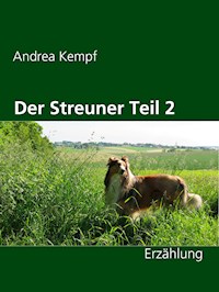 Der Streuner Teil 2 - Andrea Kempf - E-Book