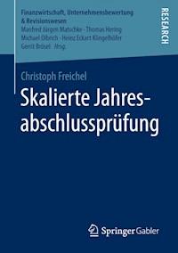 Skalierte Jahresabschlussprüfung - Christoph Freichel - E-Book