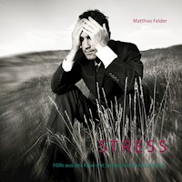 Stress - Matthias Felder - E-Book