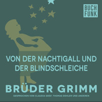 Von der Nachtigall und der Blindschleiche - Brüder Grimm - Hörbuch