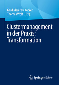 Clustermanagement in der Praxis: Transformation -  - E-Book