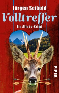 Volltreffer - Jürgen Seibold - E-Book