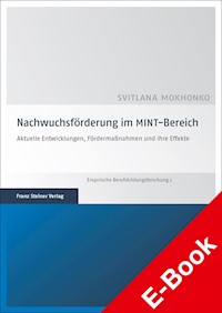 Nachwuchsförderung im MINT-Bereich - Svitlana Mokhonko - E-Book
