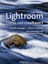 Lightroom – Classic und cloudbasiert - Frank Treichler - E-Book