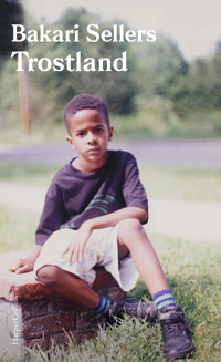 Trostland – Die Geschichte meiner vergessenen Heimat und meiner Familie - Bakari Sellers - E-Book