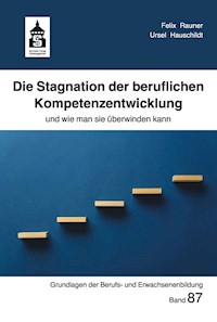 Die Stagnation der beruflichen Kompetenzentwicklung - Felix Rauner - E-Book