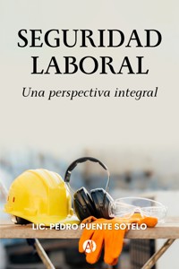 Seguridad Laboral - Pedro Puente Sotelo - E-Book