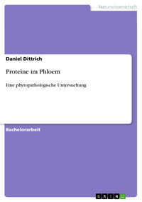 Proteine im Phloem - Daniel Dittrich - E-Book