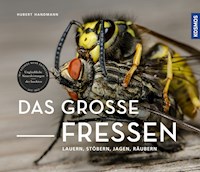 Das große Fressen - Hubert Handmann - E-Book