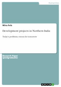 Development projects in Northern India - Mira Fels - E-Book