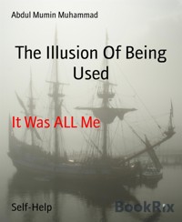 The Illusion Of Being Used - Abdul Mumin Muhammad - kostenlos E-Book
