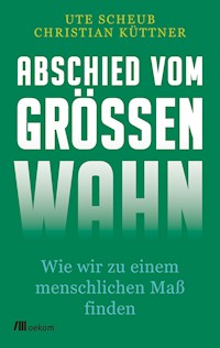 Abschied vom Größenwahn - Ute Scheub - E-Book