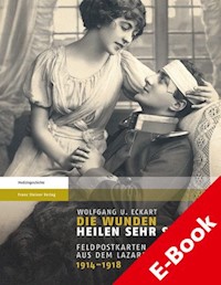 Die Wunden heilen sehr schön - Wolfgang U. Eckart - E-Book