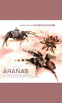 Arañas - Yann Hénaut - E-Book