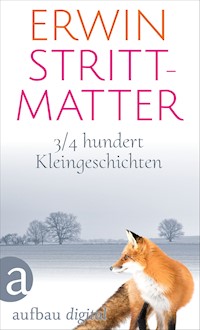 3/4 hundert Kleingeschichten - Erwin Strittmatter - E-Book