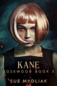 Kane - Sue Mydliak - E-Book