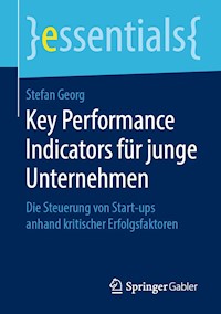 Key Performance Indicators für junge Unternehmen - STEFAN GEORG - E-Book
