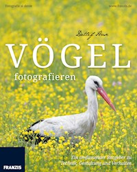 Vögel fotografieren - Detlef Hase - E-Book