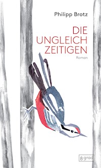 Die Ungleichzeitigen - Philipp Brotz - E-Book