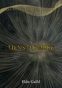 Liens d'Ombre - Eldo Gallil - E-Book