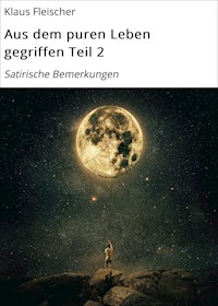 Aus dem puren Leben gegriffen Teil 2 - Klaus Fleischer - E-Book