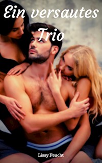 Ein versautes Trio - Lissy Feucht - E-Book