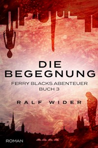 Die Begegnung - Ralf Wider - E-Book