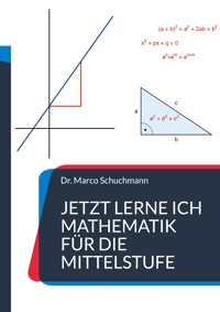 Jetzt lerne ich Mathematik für die Mittelstufe - Marco Schuchmann - E-Book