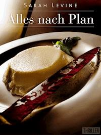 Alles nach Plan - Sarah Levine - E-Book