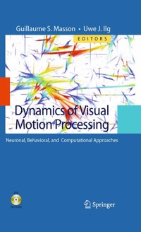 Dynamics of Visual Motion Processing -  - E-Book