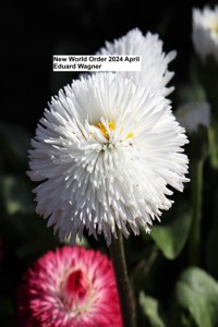 New World Order 2024 April - Eduard Wagner - E-Book