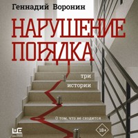 Нарушение порядка - Геннадий Воронин - Hörbuch
