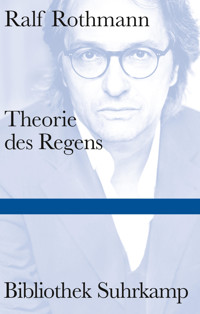 Theorie des Regens - Ralf Rothmann - E-Book