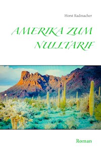 Amerika zum Nulltarif - Horst Radmacher - E-Book