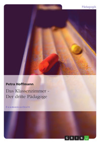 Der dritte Pädagoge. Das Klassenzimmer - Petra Hoffmann - E-Book