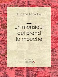 Un monsieur qui prend la mouche - Eugène Labiche - E-Book