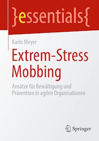 Extrem-Stress Mobbing - Karin Meyer - E-Book